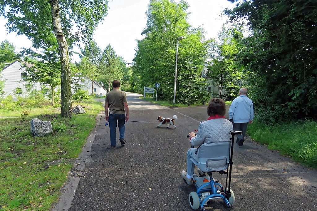 SP062016 (11).jpg